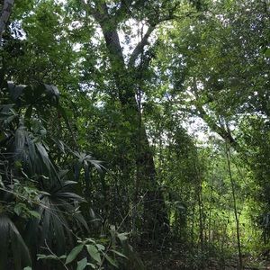 Meet your Posher, Paulette